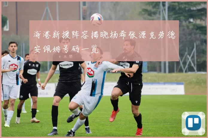 海港新援阵容揭晓杨希张源克劳德安佩姆号码一览