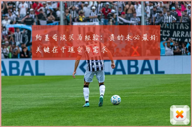 约基奇谈买马经验：贵的未必最好关键在于适合与需求